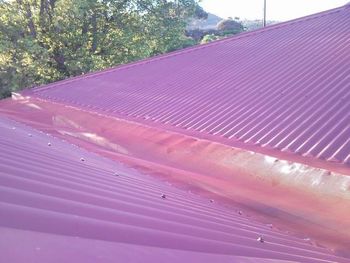 Photo11.jpg